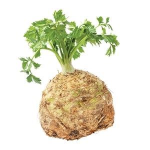 breadberry.com